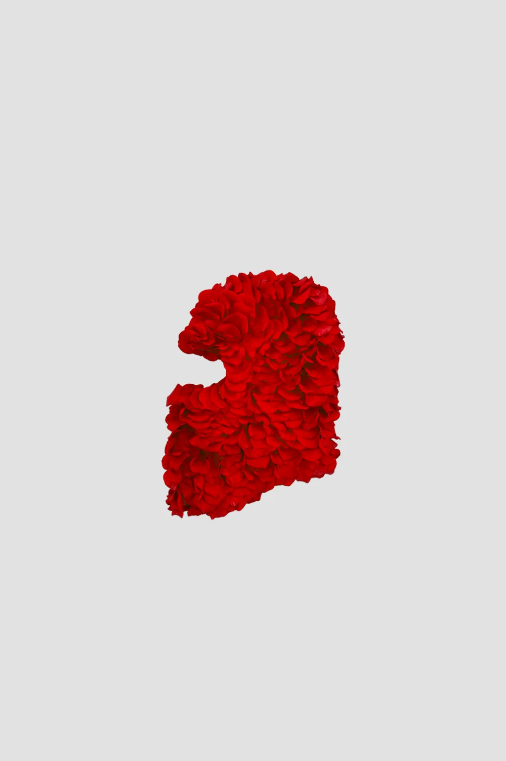 Balaclava Red Petals