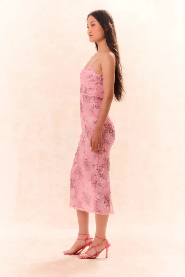 Loveshackfancy Tresor Lace Bustier Midi Dress