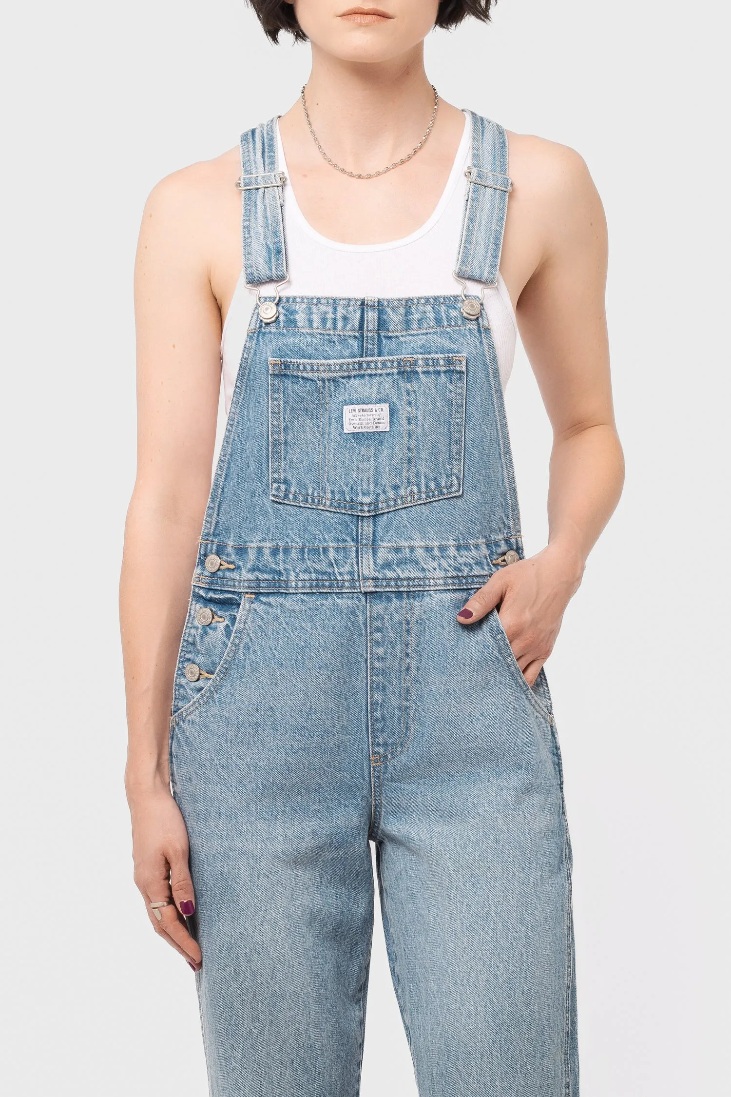 Vintage Overall in What a Delight