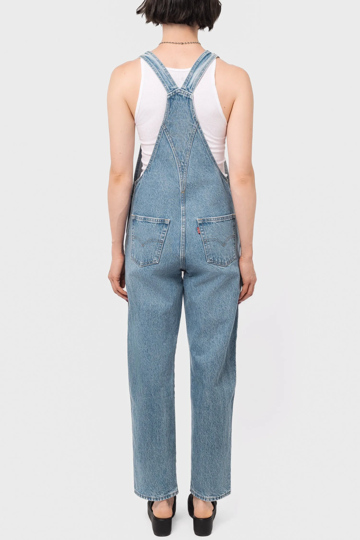 Vintage Overall in What a Delight